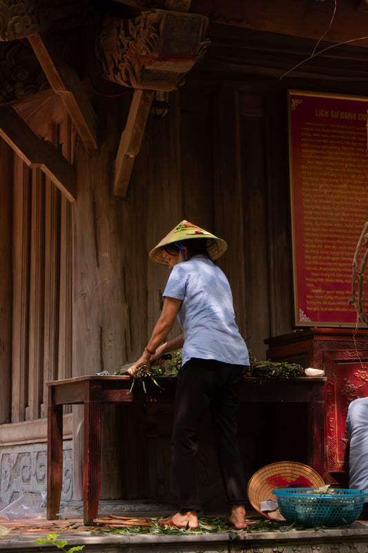 HO CHI MINH
